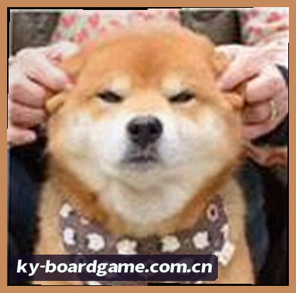 郑丽